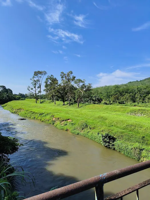 Bukit Asa Trailhead Picture 6