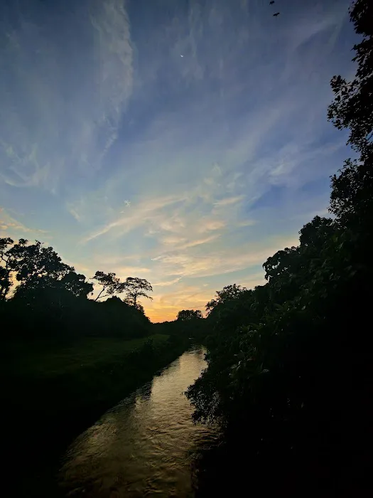 Bukit Asa Trailhead Picture 7
