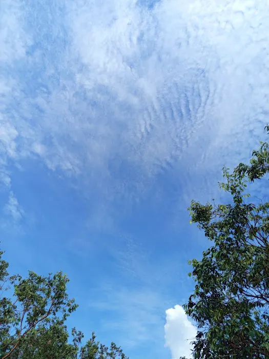 Bukit Kg Hassan, Hulu Bernam Picture 1