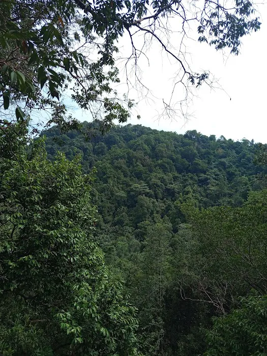 Bukit Kg Hassan, Hulu Bernam Picture 5