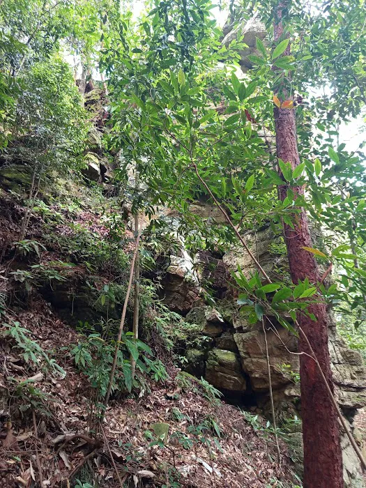 Bukit Kg Hassan, Hulu Bernam Picture 8