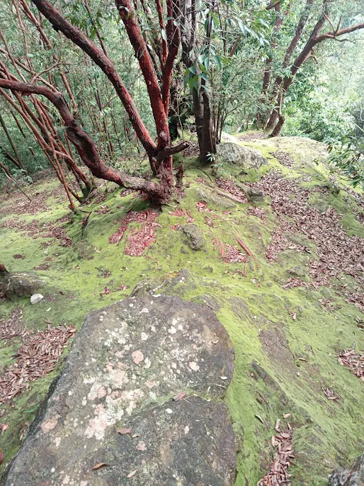 Bukit Kg Hassan, Hulu Bernam Picture 6