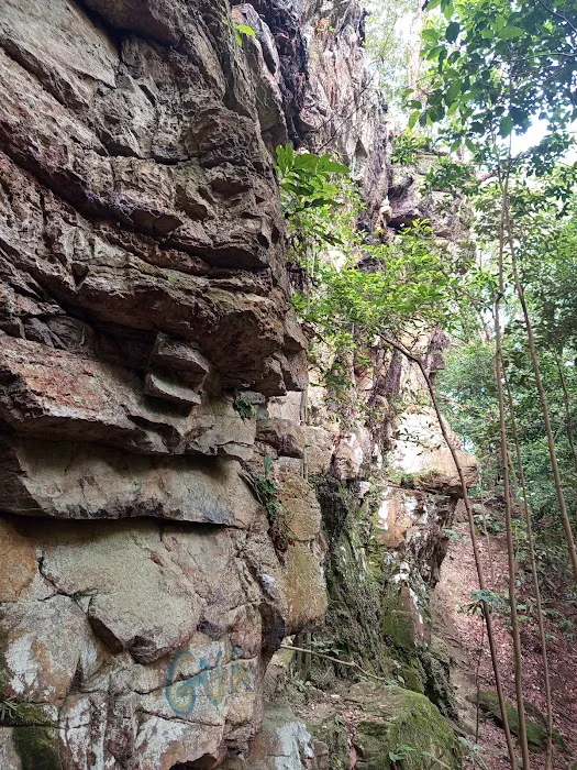 Bukit Kg Hassan, Hulu Bernam Picture 9
