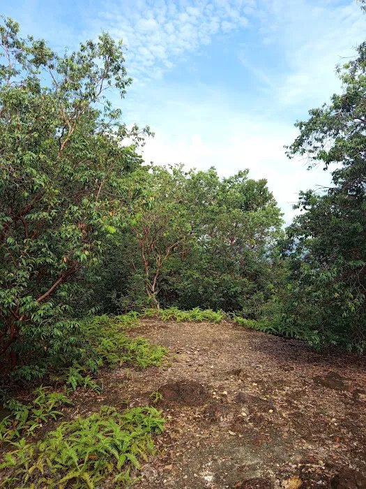 Bukit Kg Hassan, Hulu Bernam Picture 10