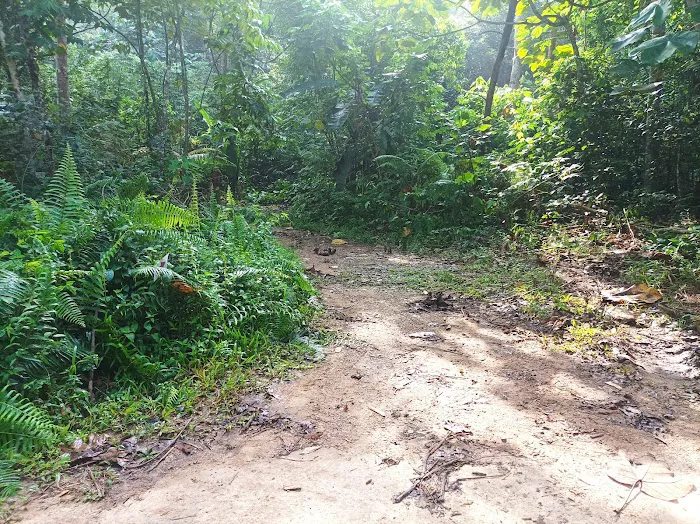 Trailhead Lata Perangin Picture 1