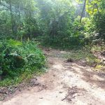 Trailhead Lata Perangin