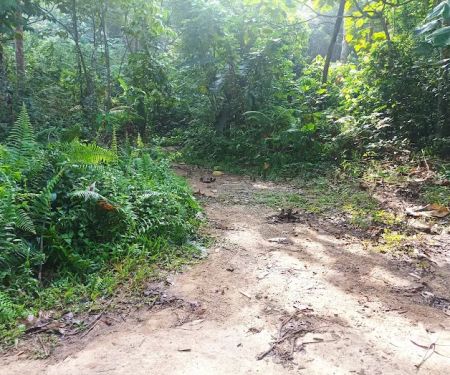 Trailhead Lata Perangin