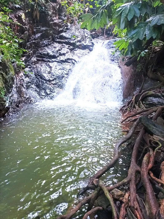 Trailhead Lata Perangin Picture 2