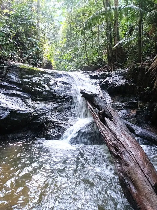 Trailhead Lata Perangin Picture 4