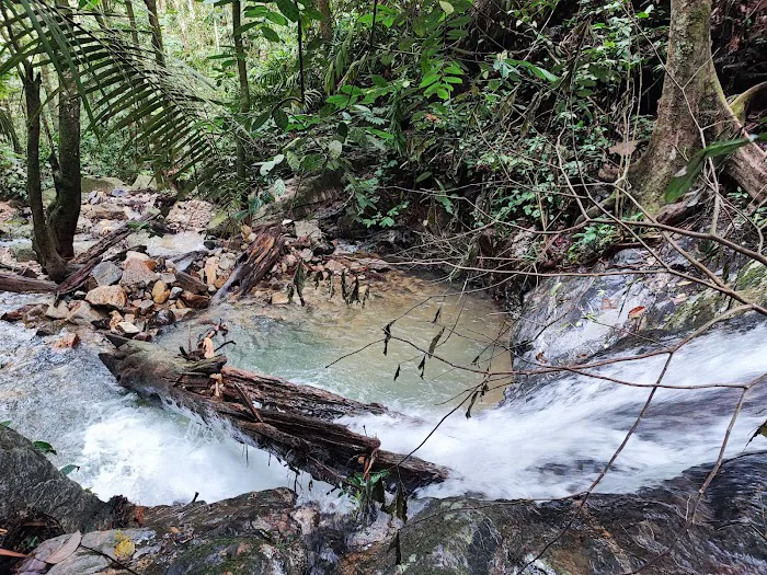 Lata Perangin Picture 7