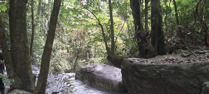 Lata Perangin Picture 6