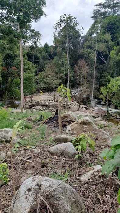 Sungei Bernam Picture 1