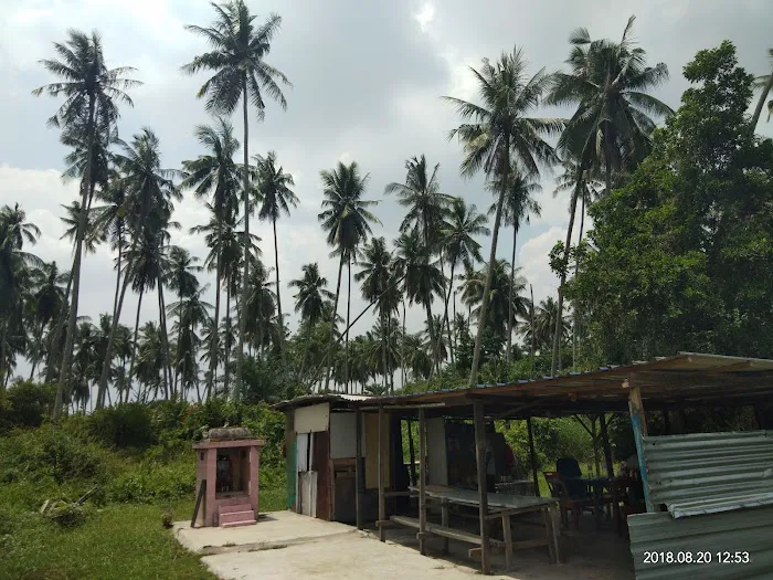 Toddy Center Picture 1