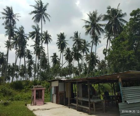 Toddy Center