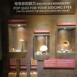Tiger Milk Mushroom Museum