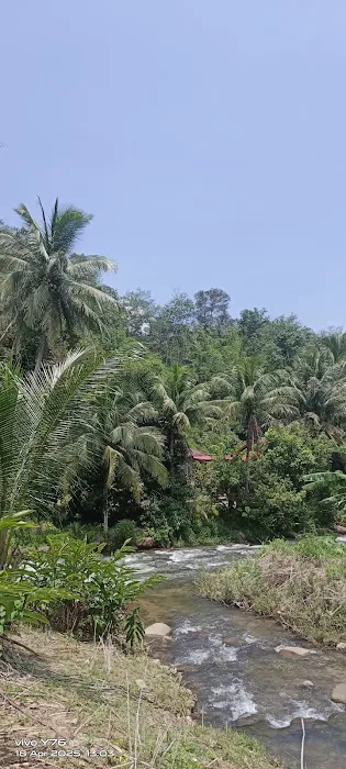MASJID KG KUALA PANGSUN Picture 1