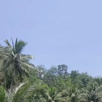 MASJID KG KUALA PANGSUN ico