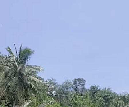 MASJID KG KUALA PANGSUN