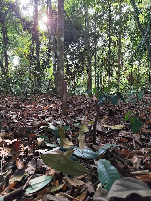 Bukit Rantau Panjang Picture 3