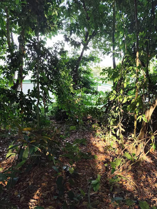 Bukit Rantau Panjang Picture 1
