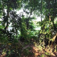 Bukit Rantau Panjang ico