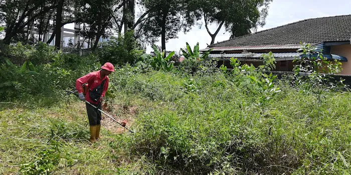 Potong Rumput Potong Pokok Gombak Picture 2