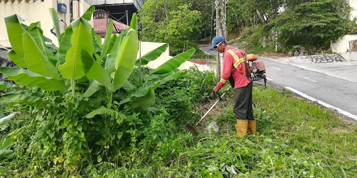 Potong Rumput Potong Pokok Gombak Picture 1