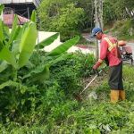Potong Rumput Potong Pokok Gombak