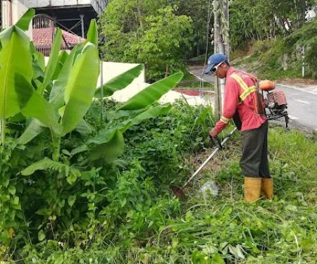 Potong Rumput Potong Pokok Gombak