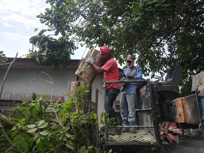 Potong Rumput Potong Pokok Gombak Picture 5