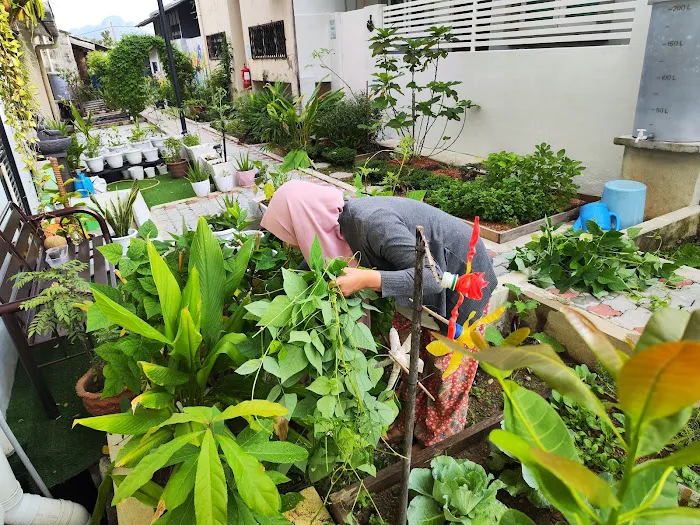 Kebun Komuniti Geliga Nilam (KKGN) Picture 3