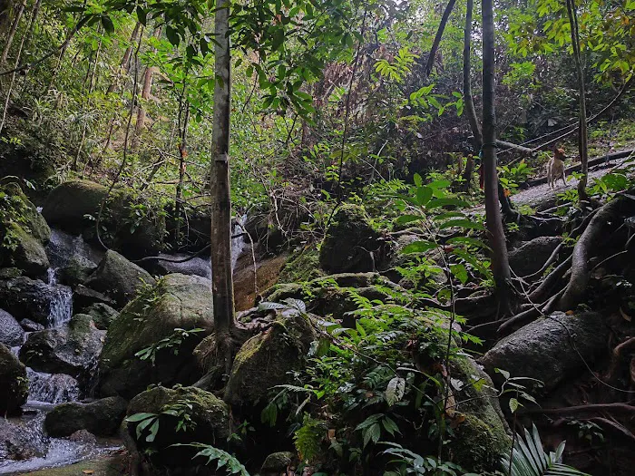 Bukit Saga via Taman Saga Picture 2