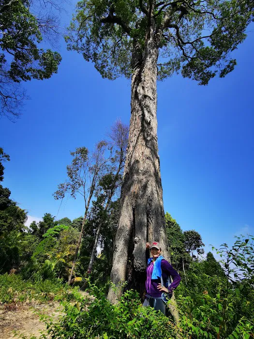 Bukit Saga via Taman Saga Picture 8