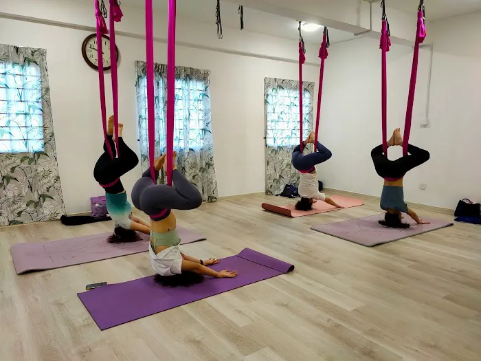 My Aerial & Yoga Fitness Picture 5
