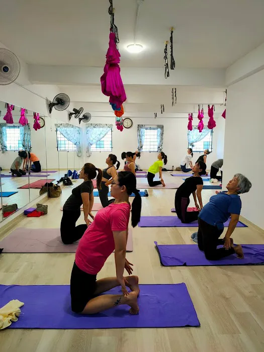 My Aerial & Yoga Fitness Picture 8