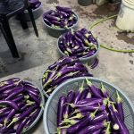 Kebun Komuniti Kerdas 2