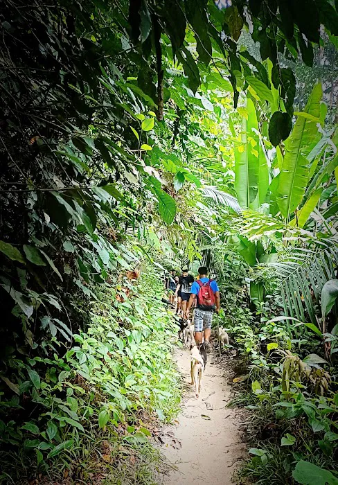 Kemensah Trail Head Picture 5