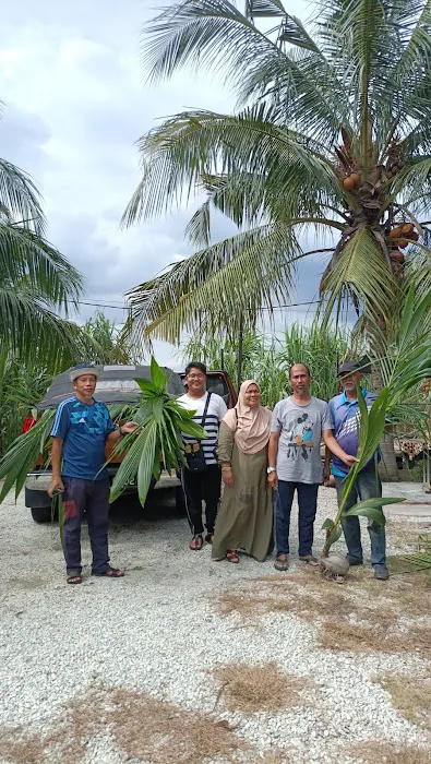 RICOCONUT FARM SUNGAI KAJANG Picture 2