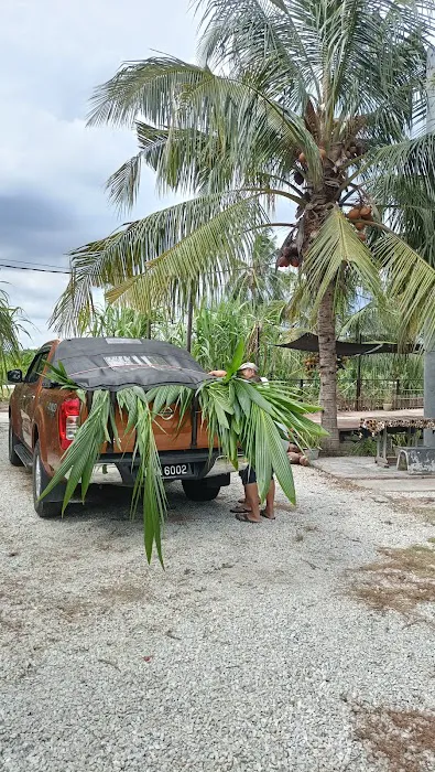 RICOCONUT FARM SUNGAI KAJANG Picture 3