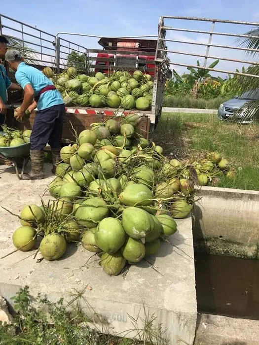 RICOCONUT FARM SUNGAI KAJANG Picture 10