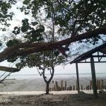 Pantai Sungai Kajang