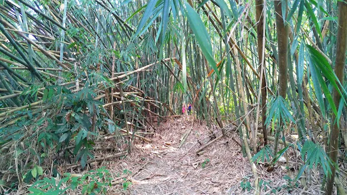Bukit Batu Chondong (Entrance) Picture 8