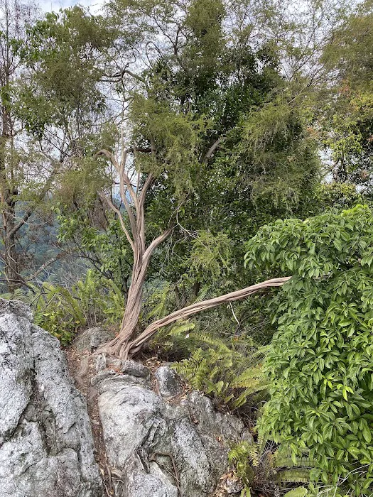 Bukit Batu Chondong (Entrance) Picture 9