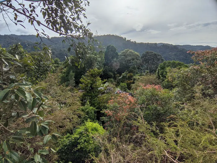 Bukit Batu Chondong Picture 6