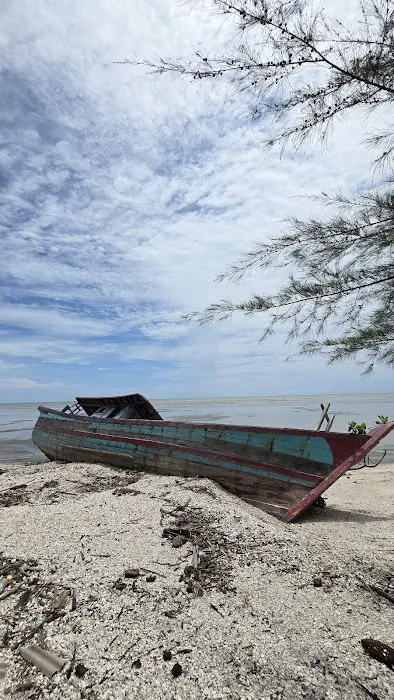 Abandoned Boat Picture 5