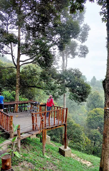 Bukit Pau Peak Picture 6