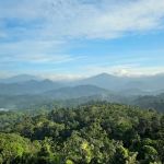 Bukit Pau Peak