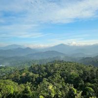 Bukit Pau Peak ico