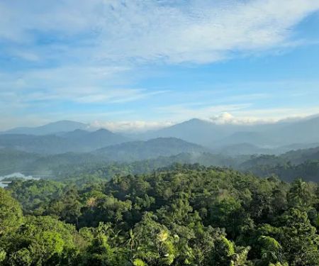 Bukit Pau Peak