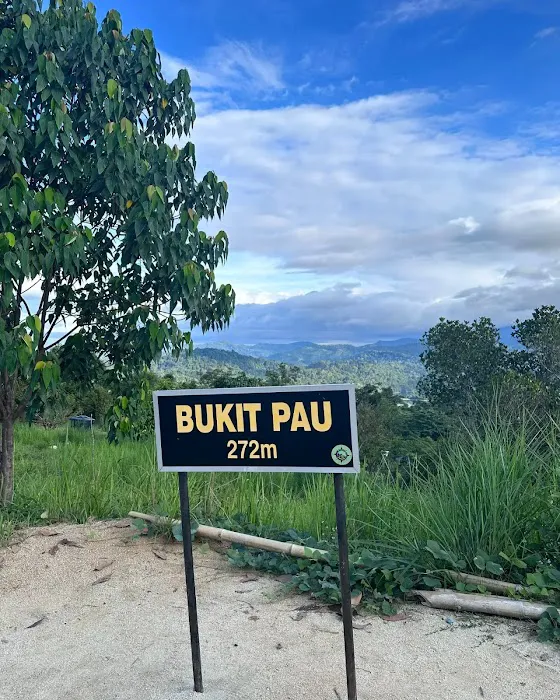 Bukit Pau Peak Picture 3